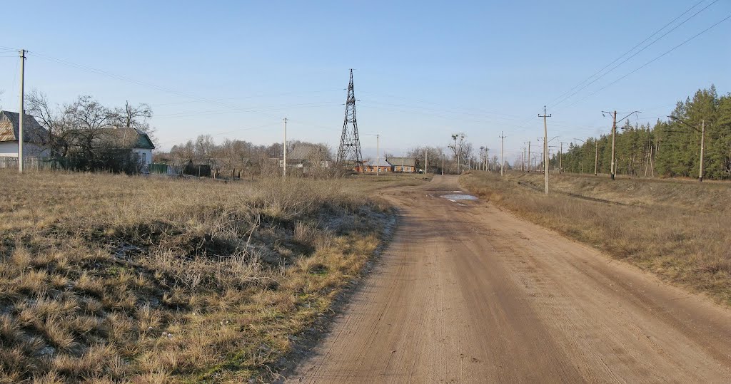 Борки - 1