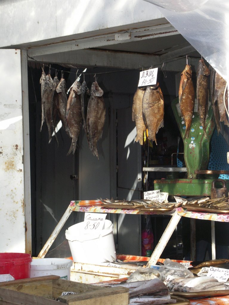 Pesce Essiccato e Affumicato