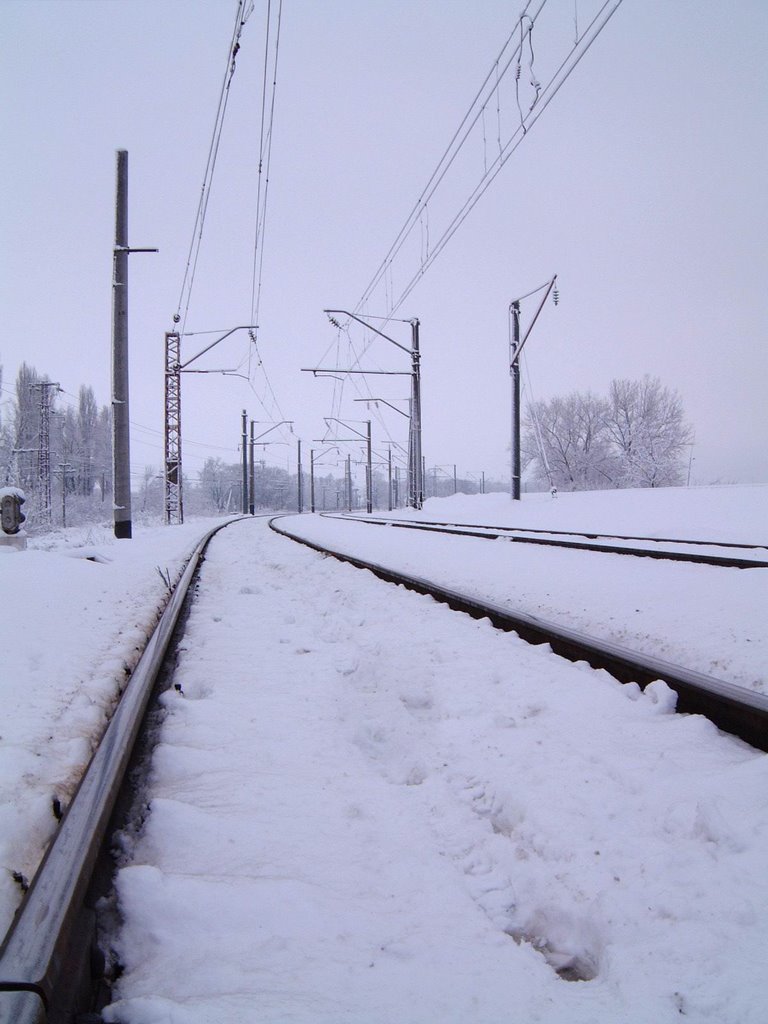 УЗ 2003/01/30