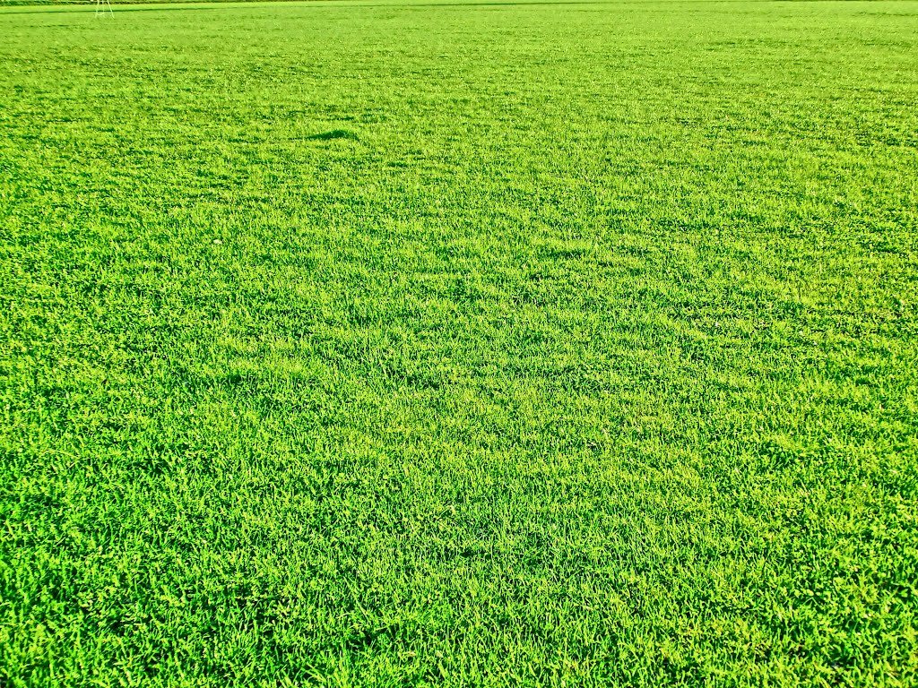 green field. fcamethyst-2001.com.ua