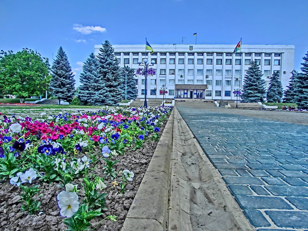 петунии