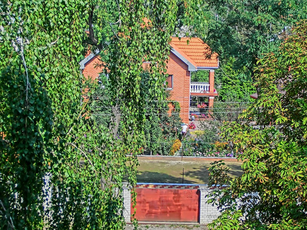 переулок Победы, 22 Александрия