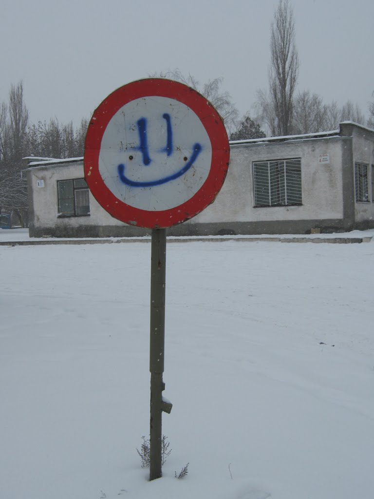 Посміхніться, Ви у Бобринці / Smile, You are in Bobrynetrs