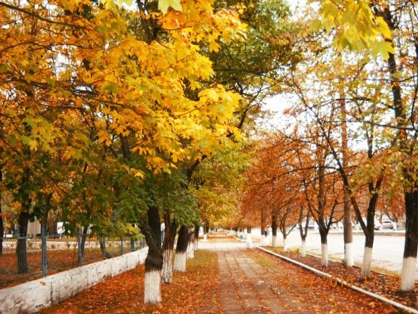 вул.Леніна/ул. Ленина/Lenin street