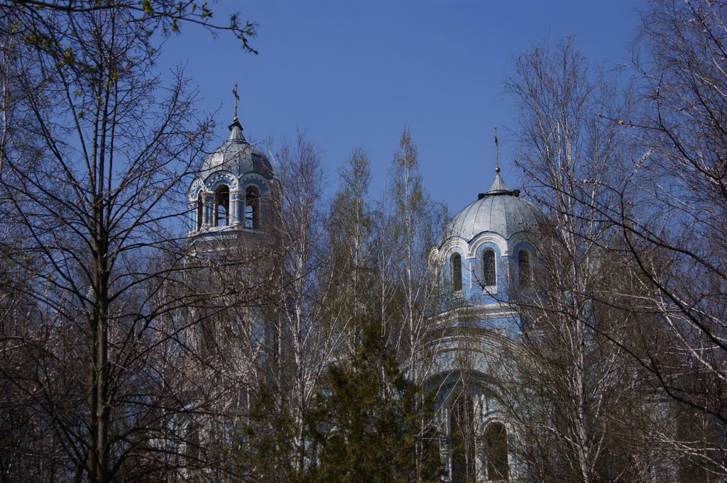 Вознесенский собор в г. Бобринец