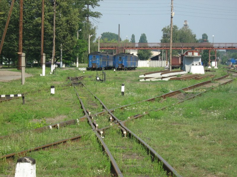 ►Узкоколейка в Гайвороне
