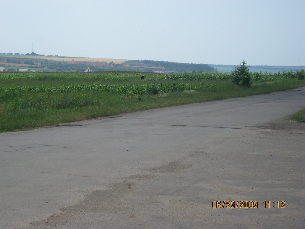 Гайворонська панорама