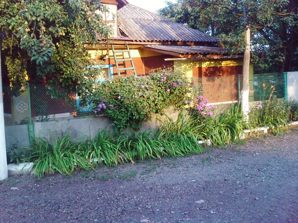 Крутой дом