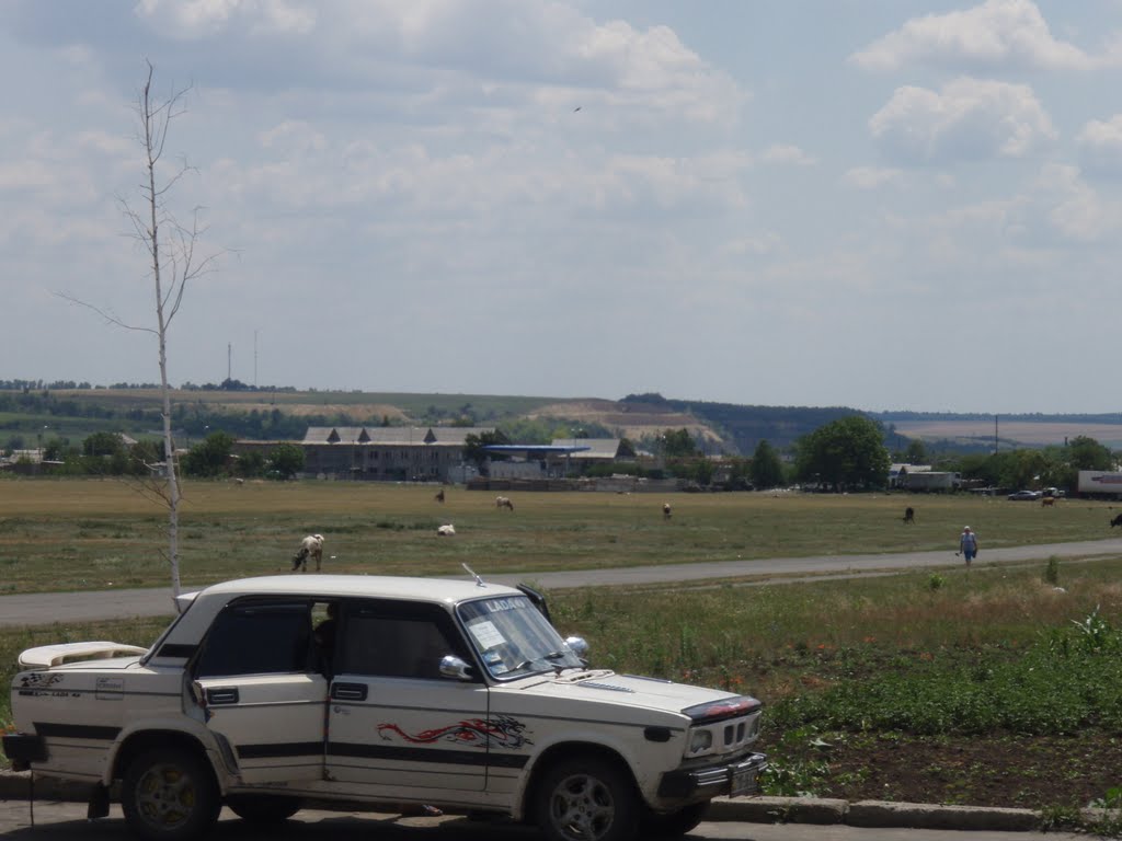 Краевид с севера