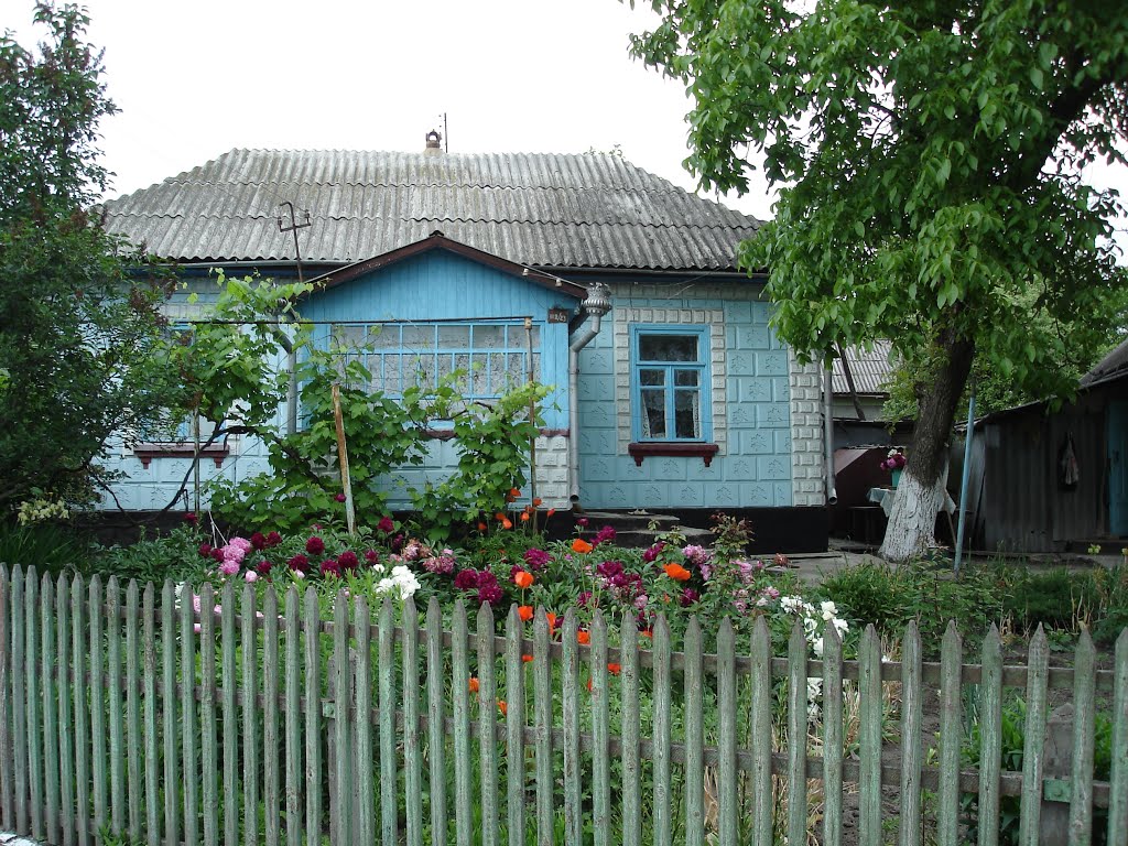 pretty house in Haivoron