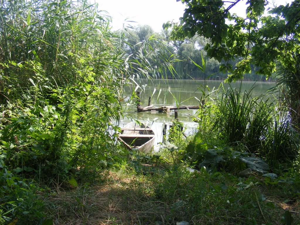 лодка, - boat