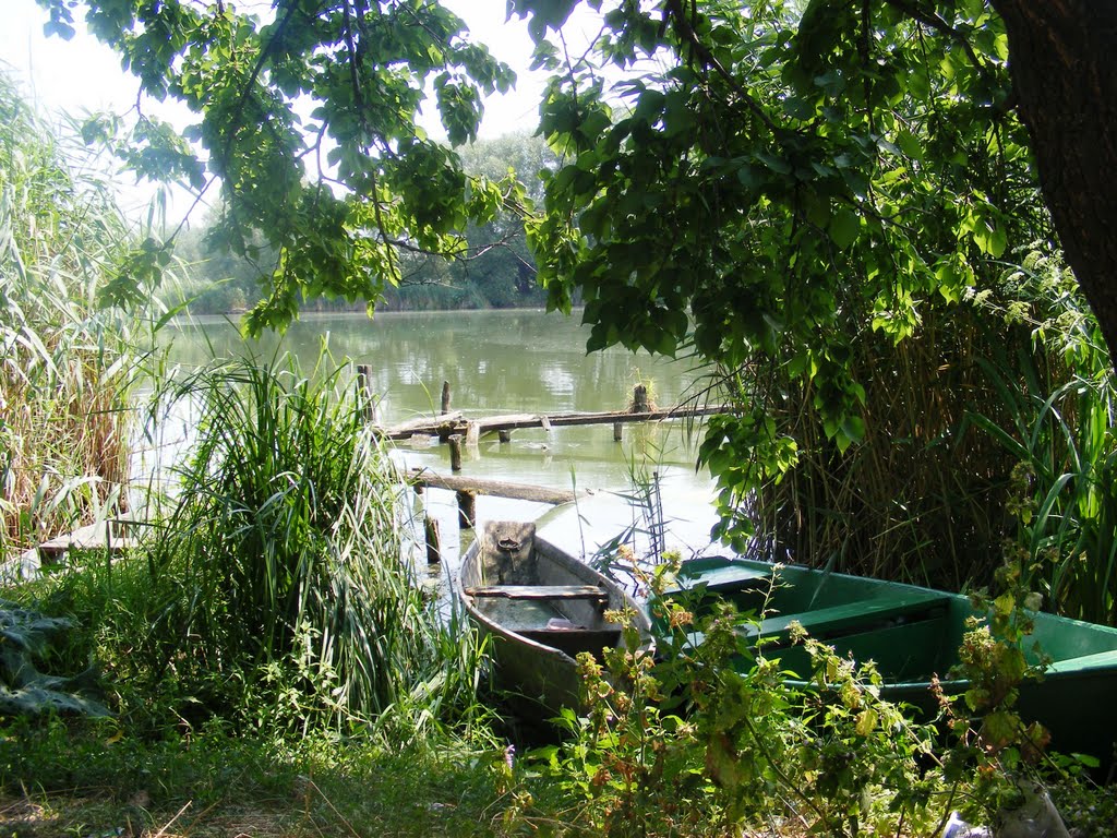 лодки, - boats