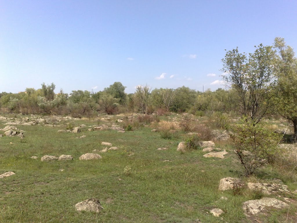 В окрестностях Гайворона.