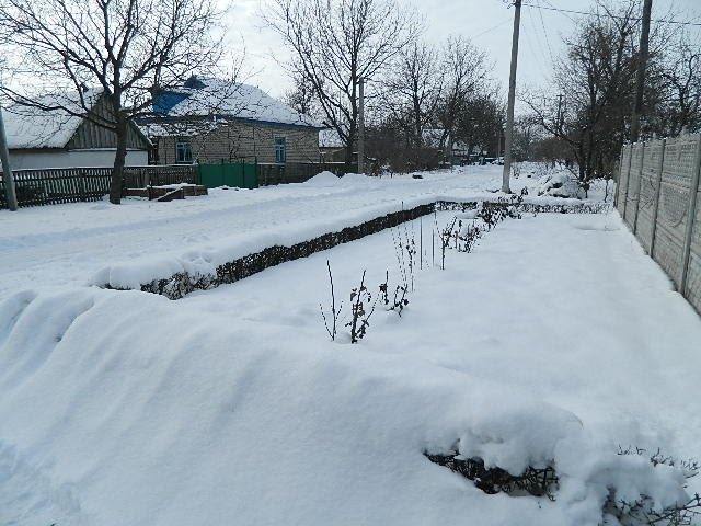 ПРИШЛА ЗИМА!