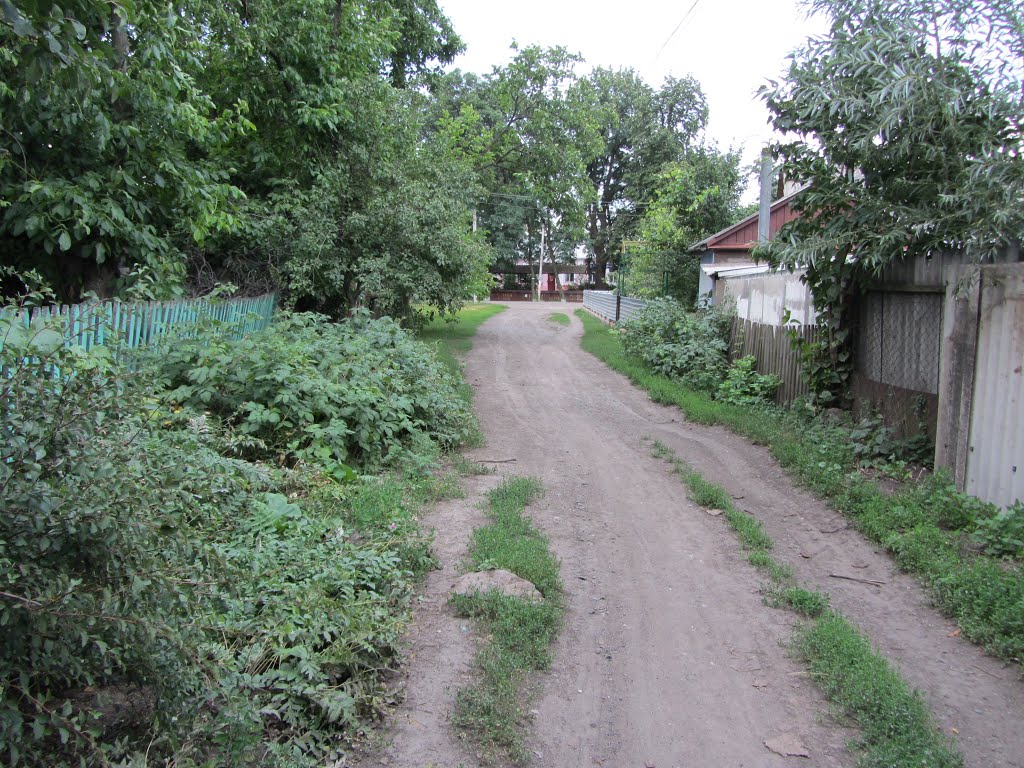 Radyanska 40