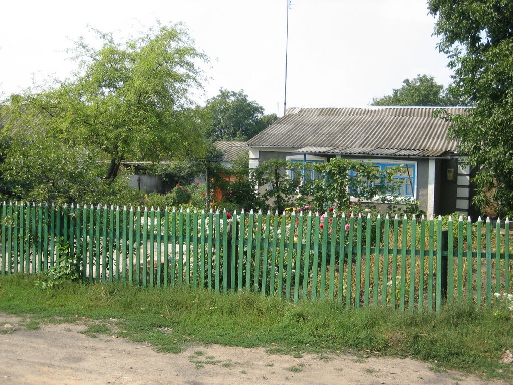 The house of the grandmother