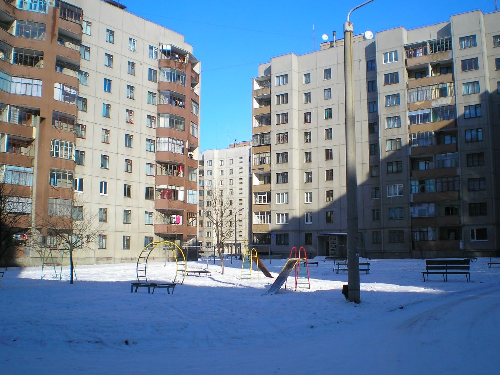 Мой двор зимой