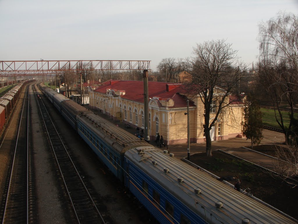 Вокзал ст. Долинская