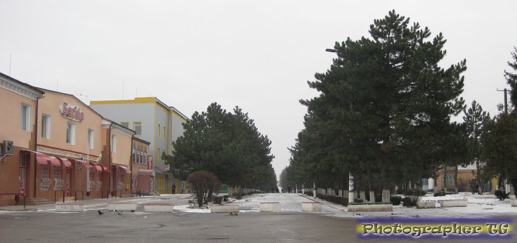 Долинская