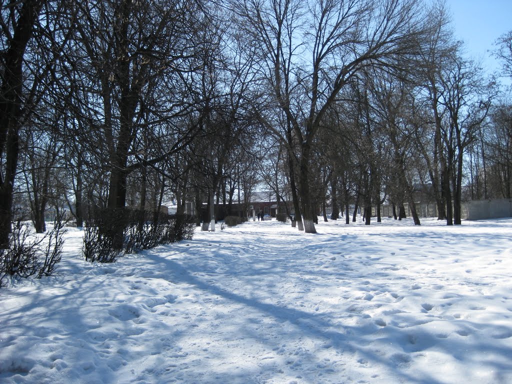 Molodizhne