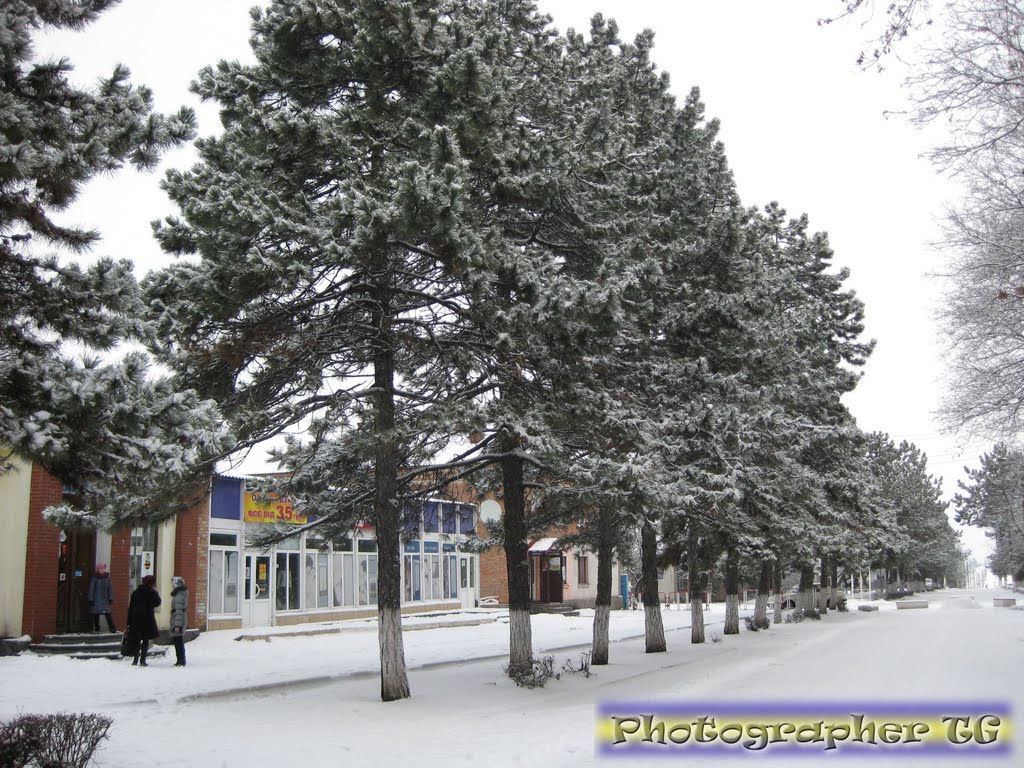 Долинская,Центр
