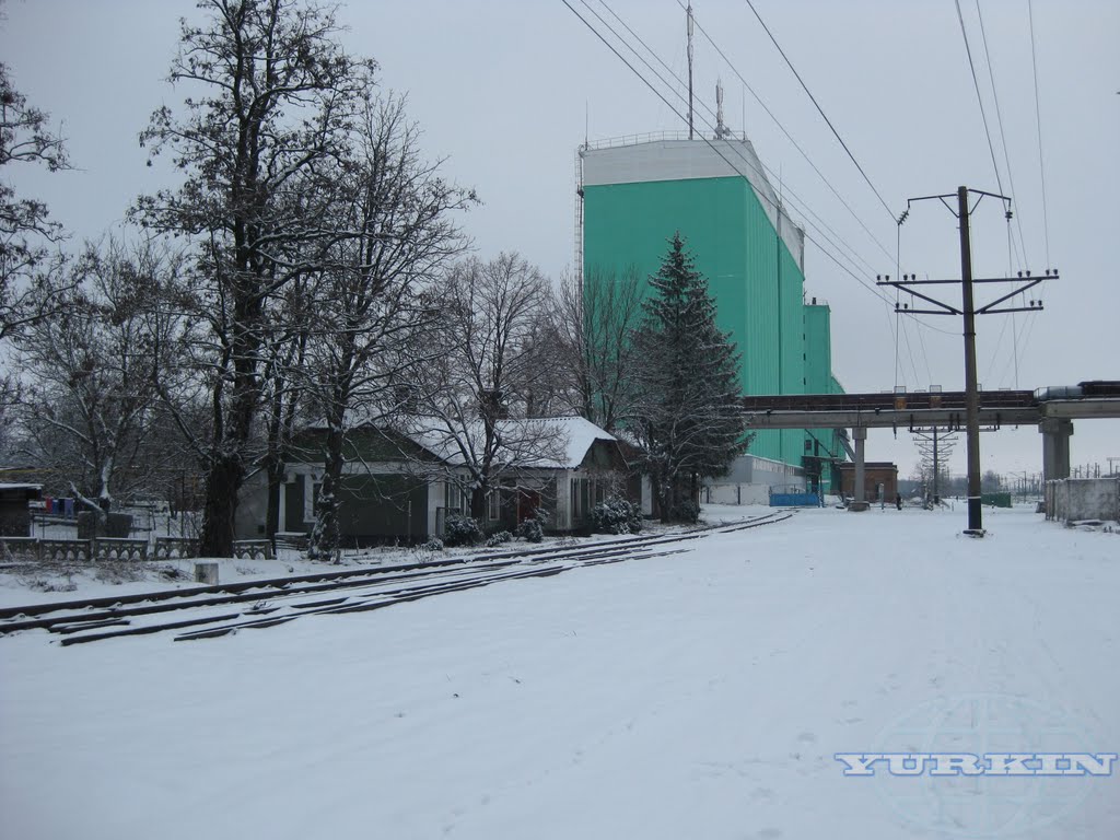 Элеватор, Долинская