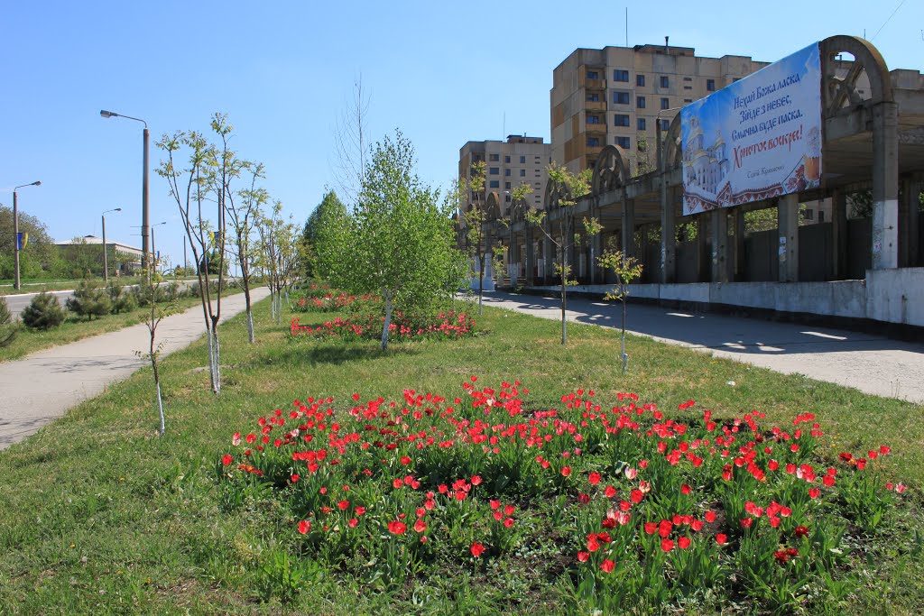 Невеличкі квітники прикрашають Долинську