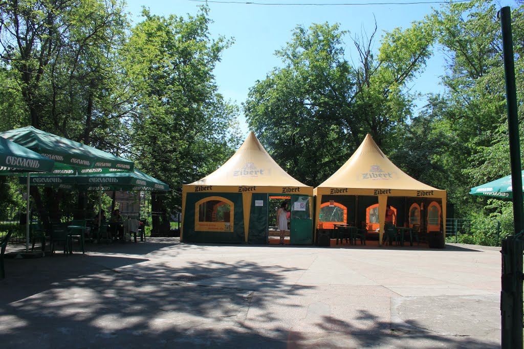 У парку відпочинку залізничників відпочити навряд чи можна. Можна добряче "нагенделитися"