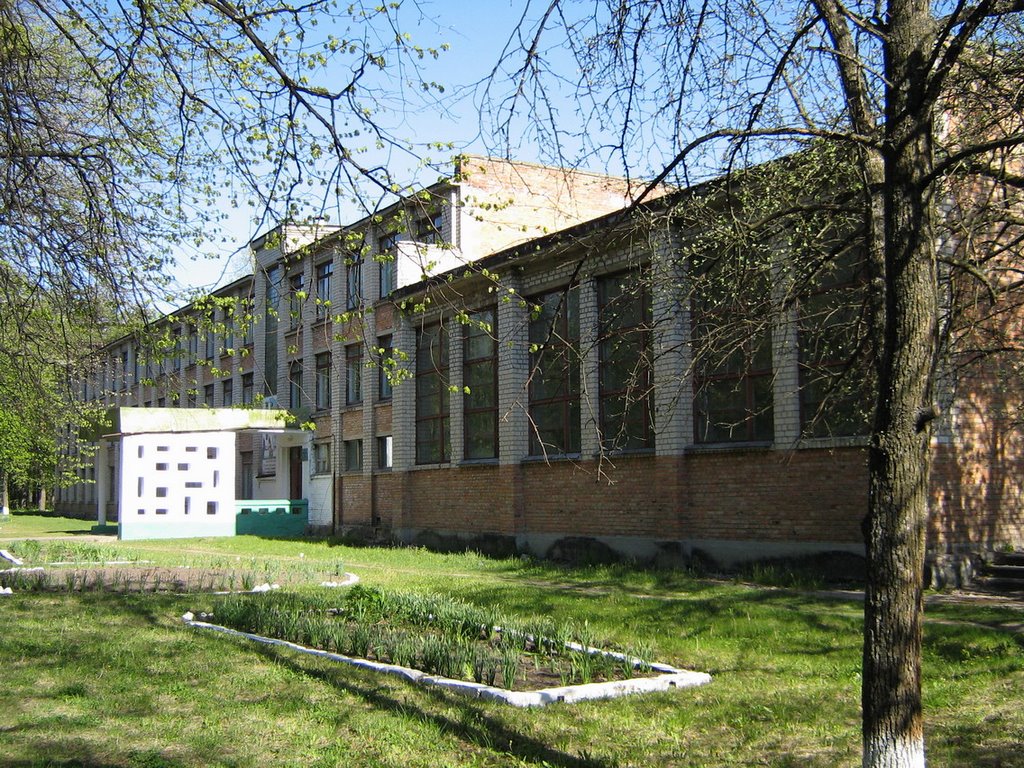shkola
