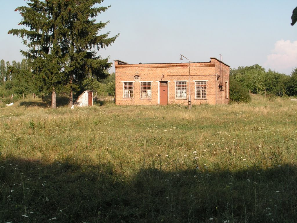 Антенное поле
