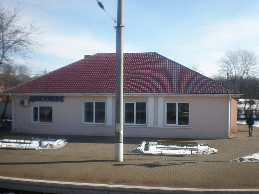 село Цибулеве залізнична станція