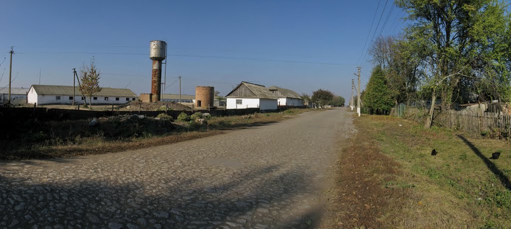 Ясыновэ(2)