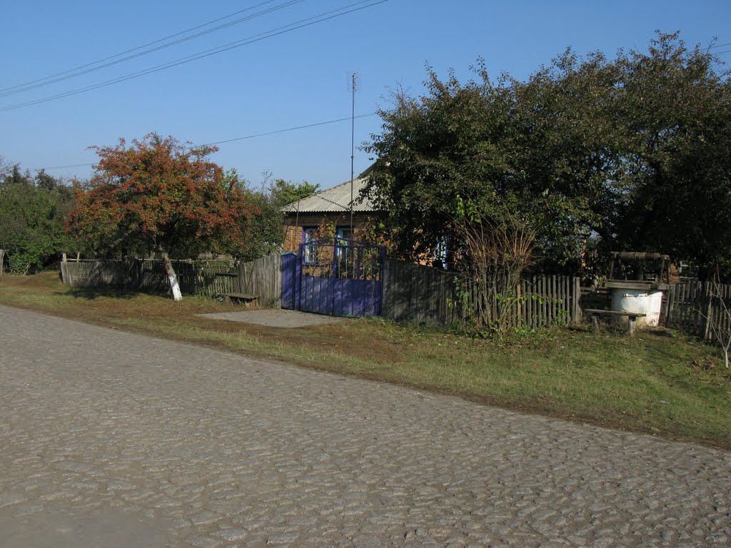 В Ясыновом