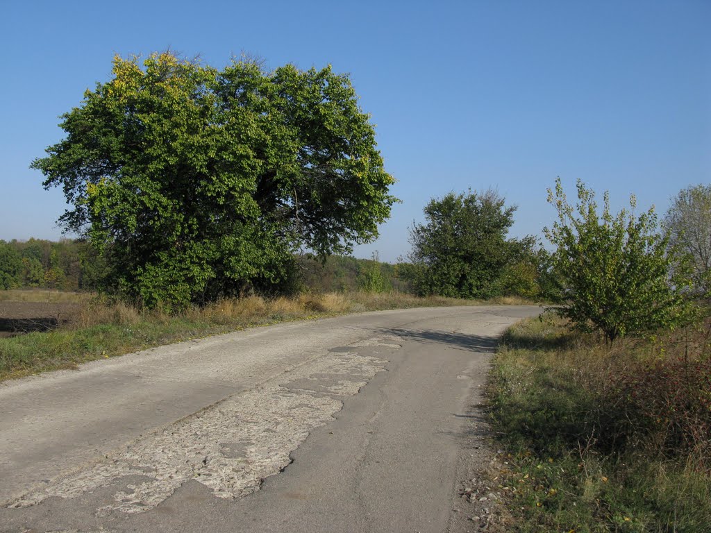 Дорога в в/ч