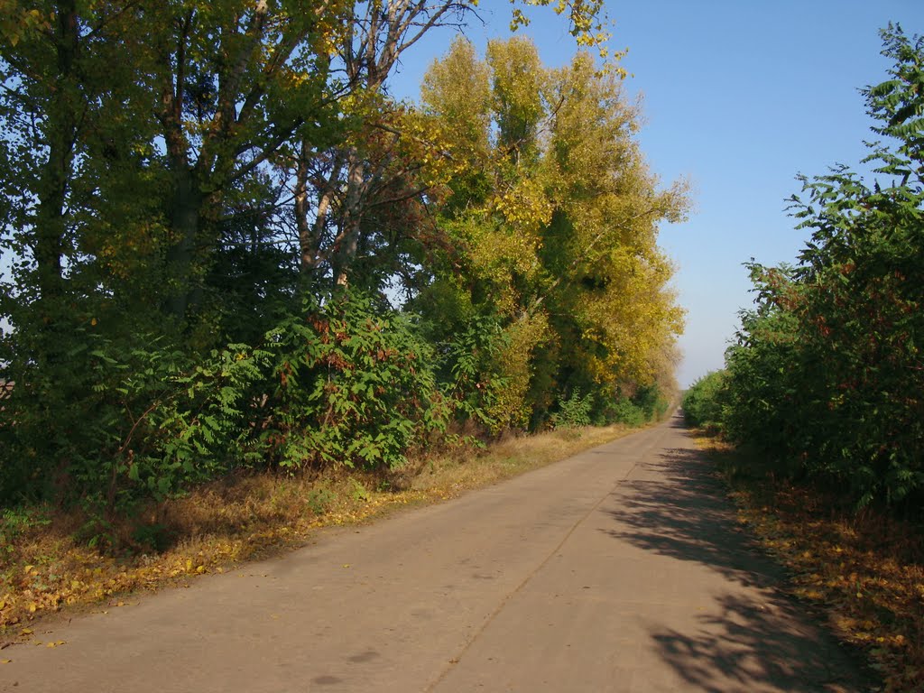 Осень