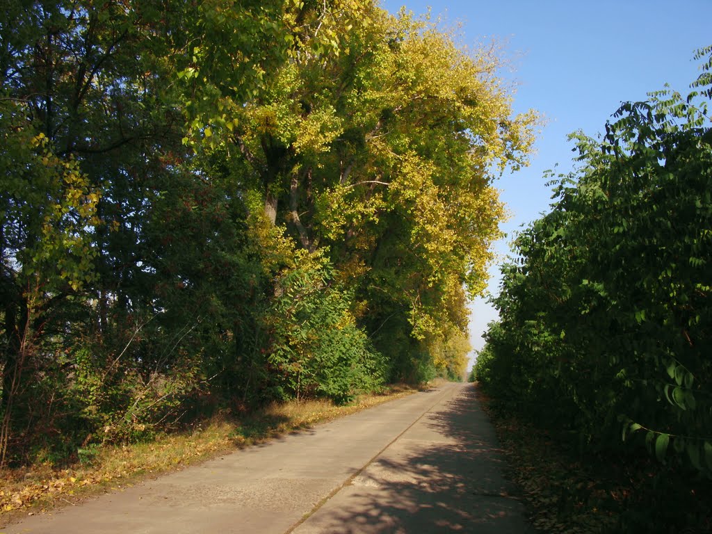 Осень(1)