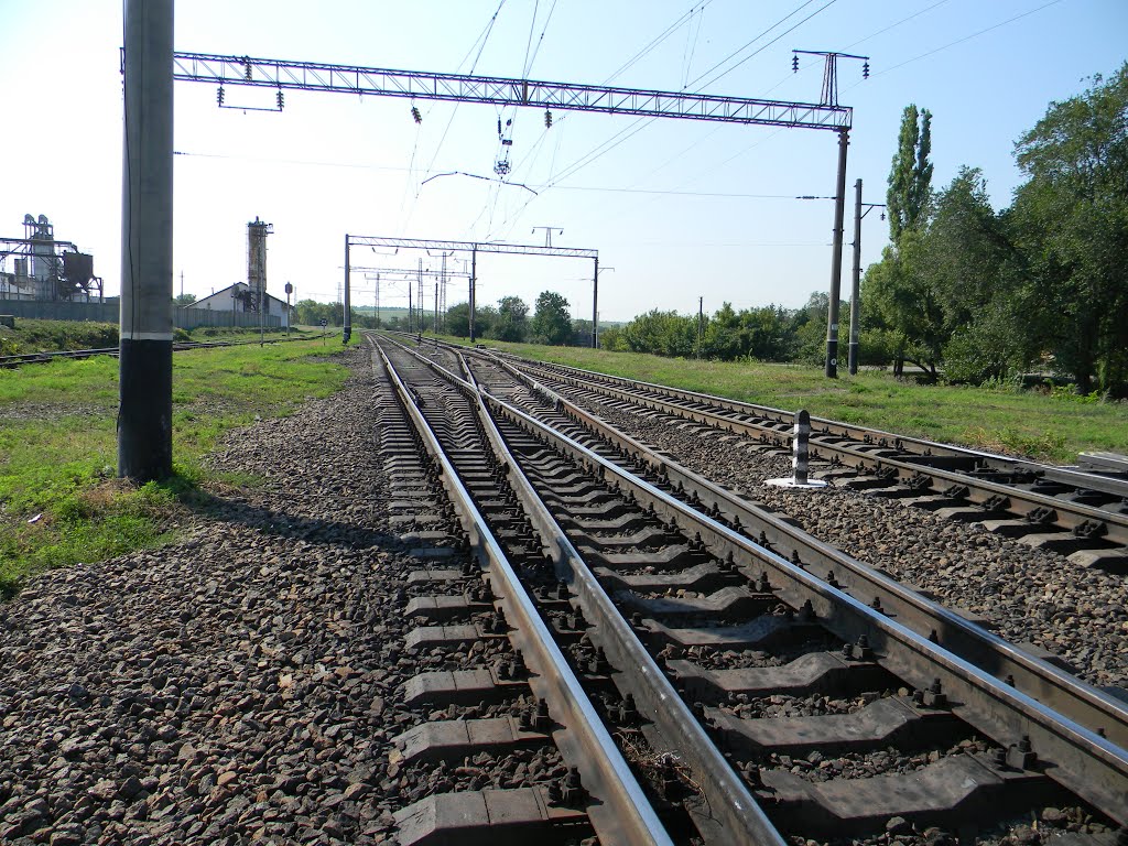 На Знаменку