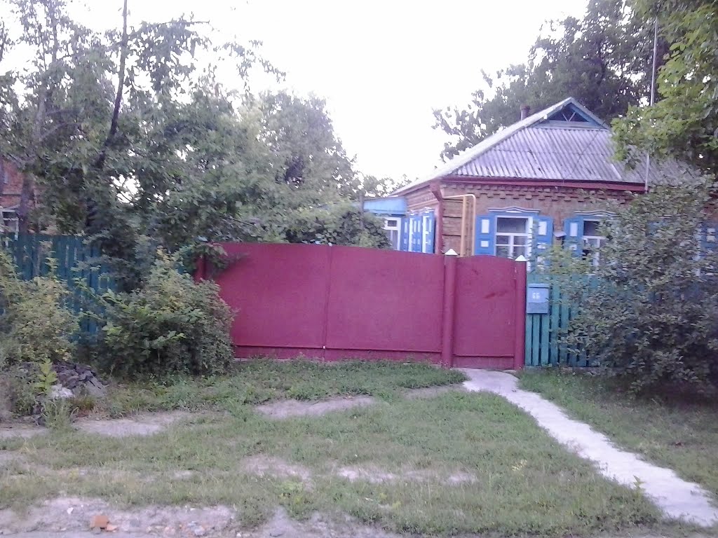 Елизаветградка