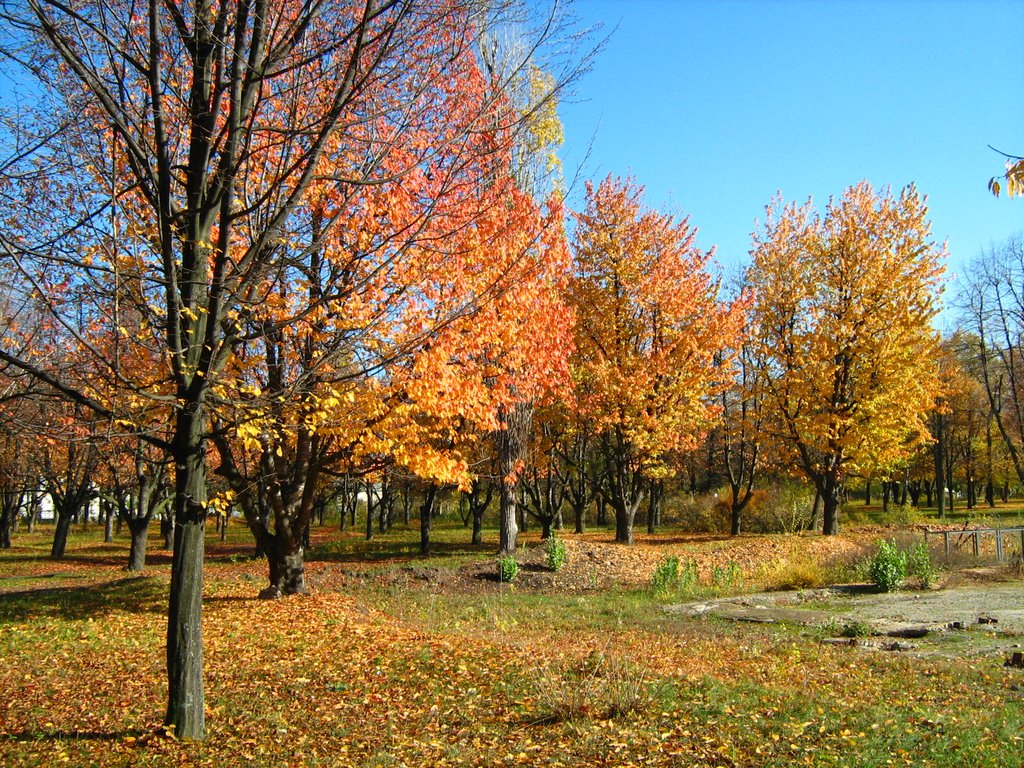 Park in Zavalya