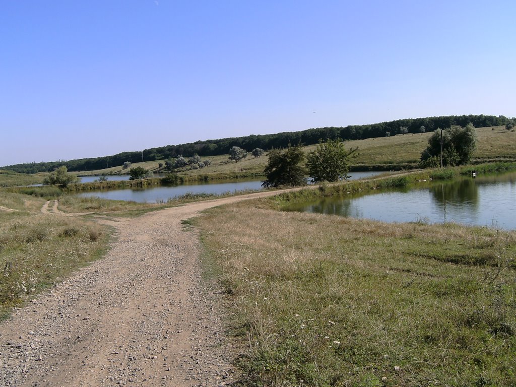 Лето 2008
