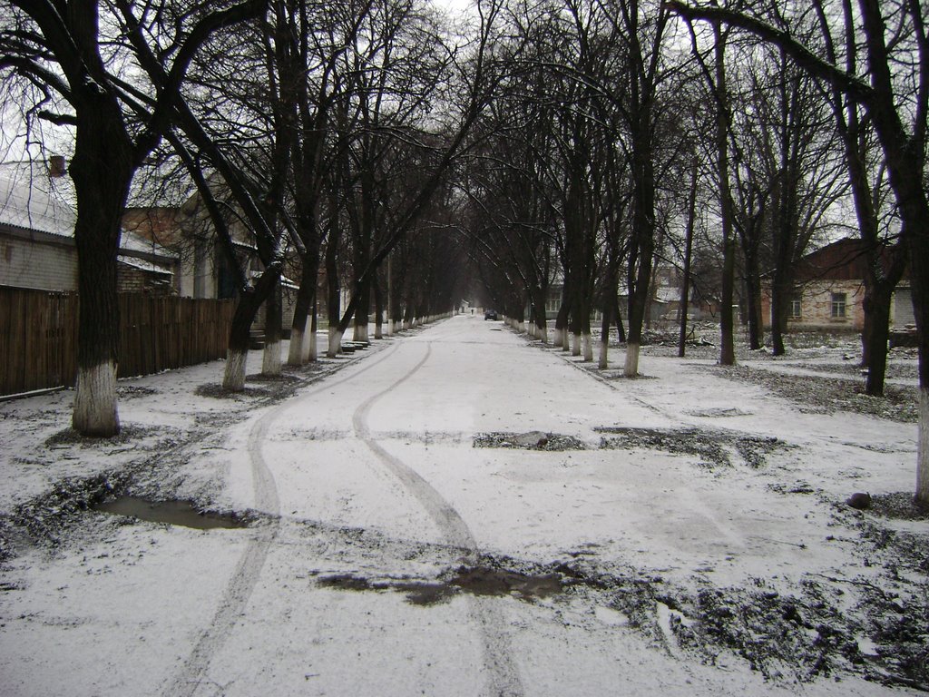 проспект влксм