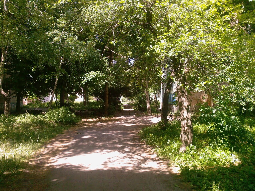 двор 2009