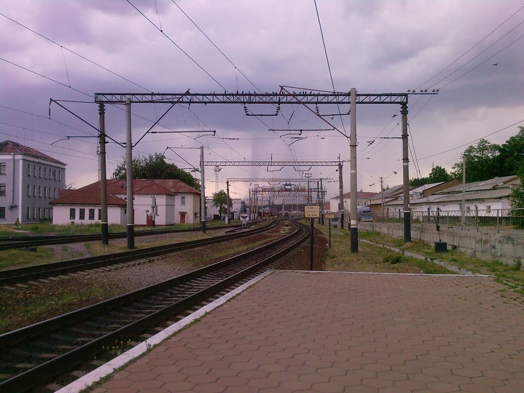 перед грозой 2009г