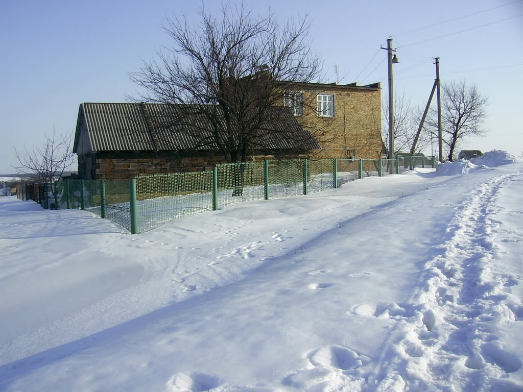 зима 2010г.