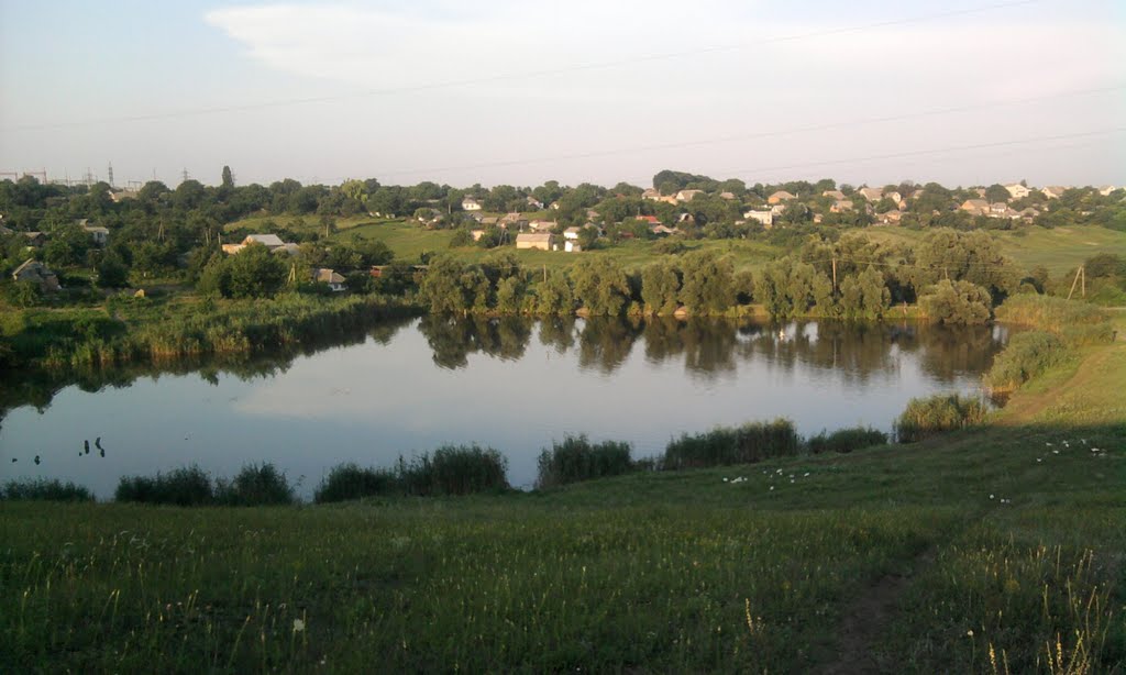 ставок