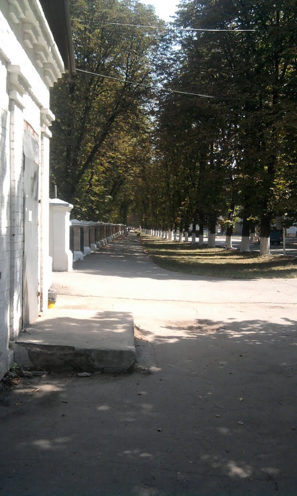 центральная улица