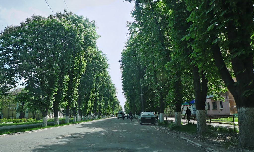 Znamyanka Druha