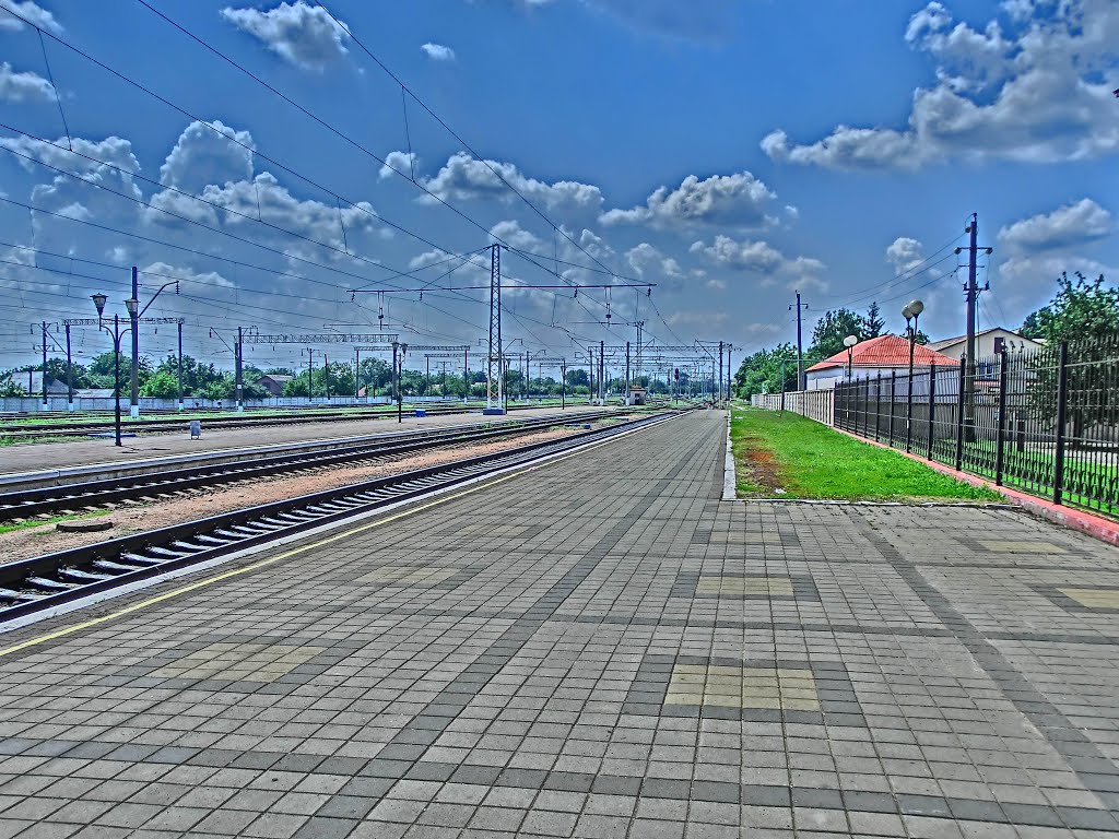 ст. Занаменка