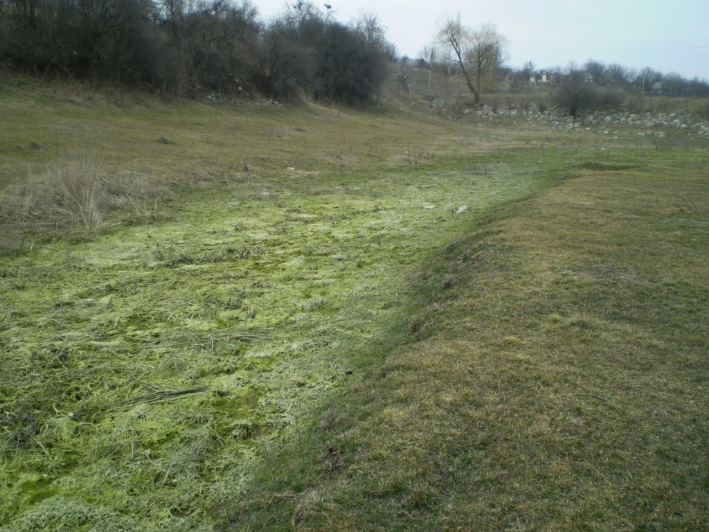 болотце