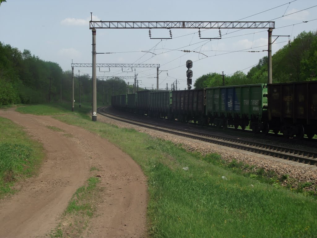 в западной горловине станции